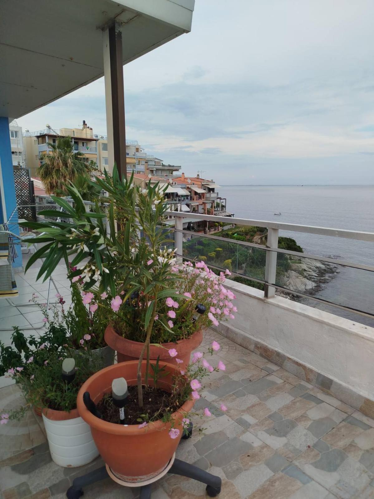 Roof Garden By The Sea Apartamento Cavala Exterior foto